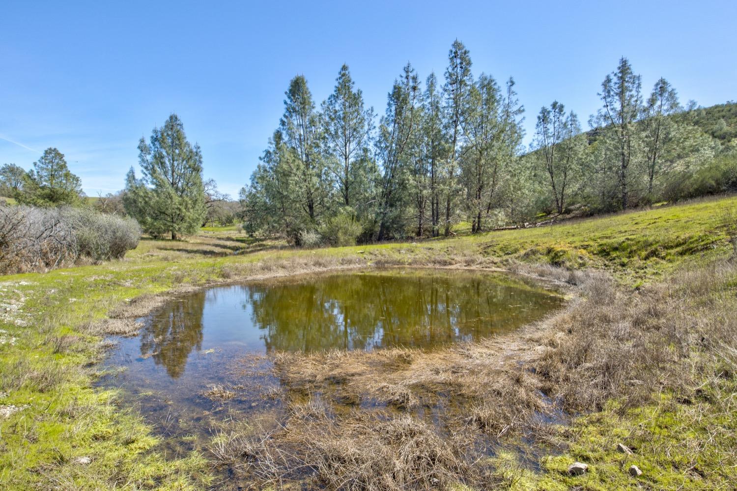 13012 Highway 124 Ione, CA 95640 - Photo 36 of 59 a view of a lake with a yard