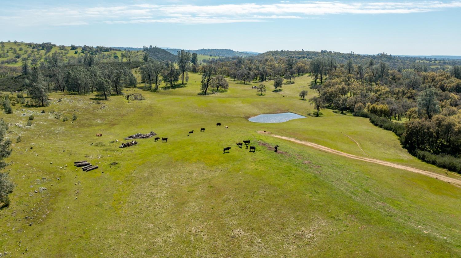 13012 Highway 124 Ione, CA 95640 - Photo 38 of 59