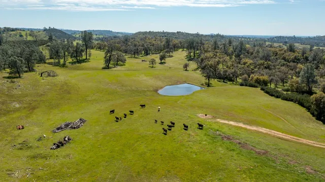 a view of a lake with mountains in the background