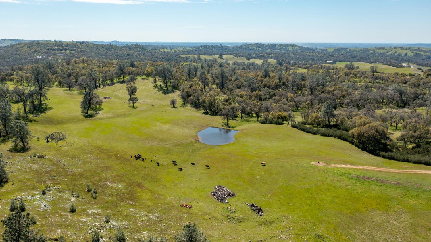13012 Highway 124 Ione, CA 95640 - Photo 40 of 59 a view of a lake