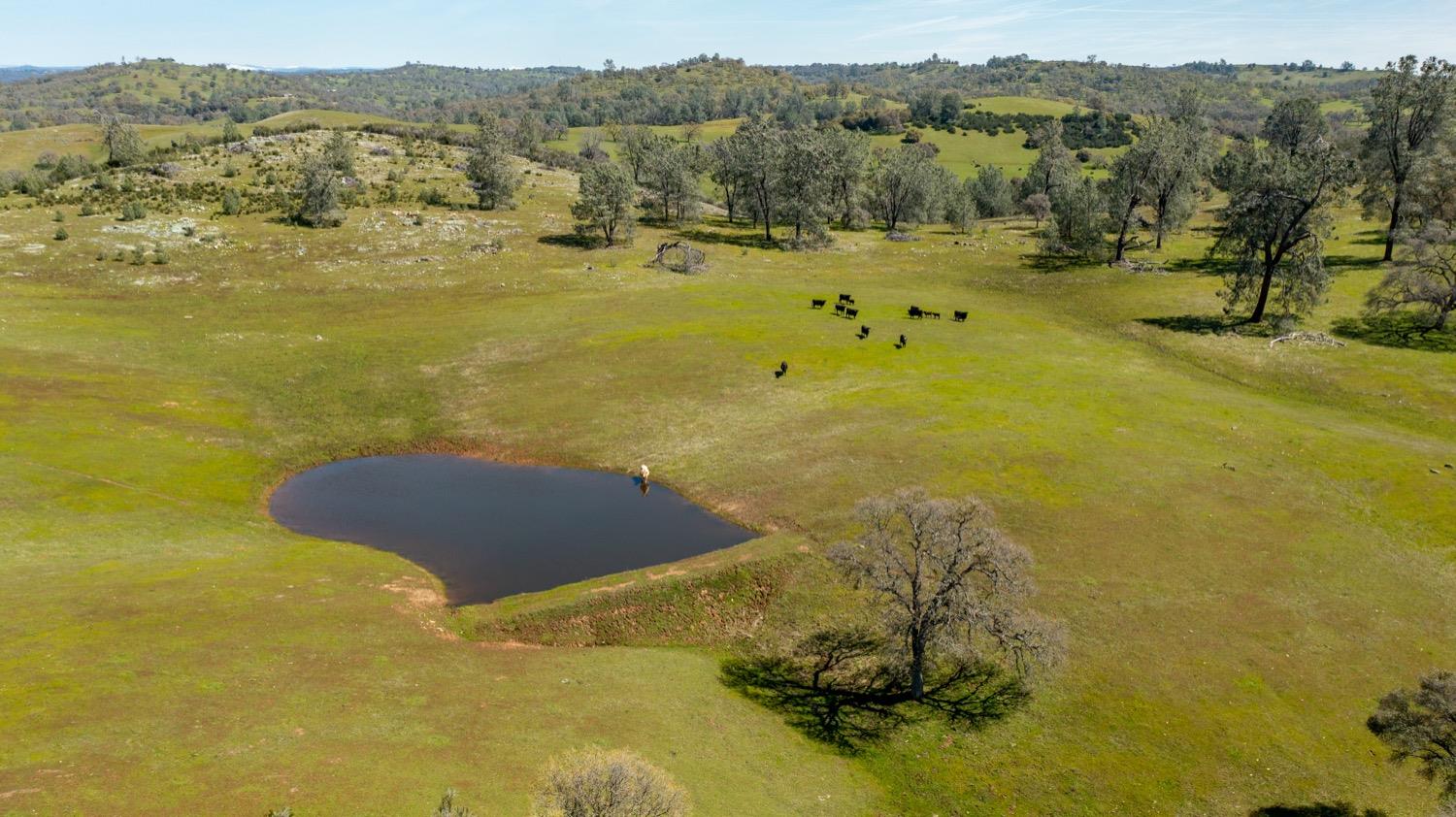 13012 Highway 124 Ione, CA 95640 - Photo 41 of 59 a view of a lake with a mountain