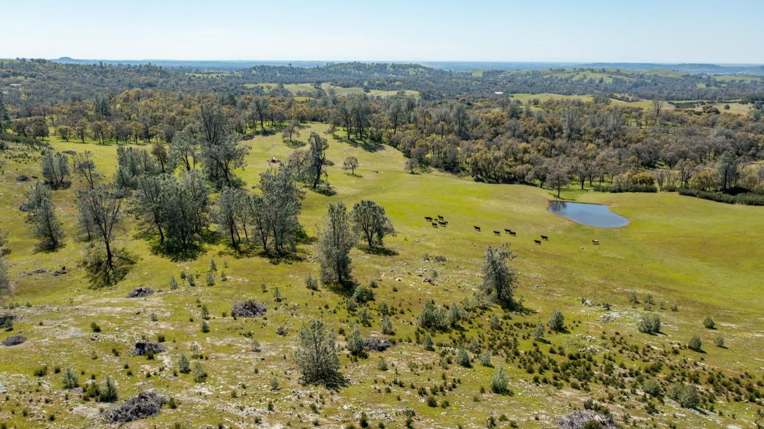 13012 Highway 124 Ione, CA 95640 - Photo 43 of 59 a view of a city