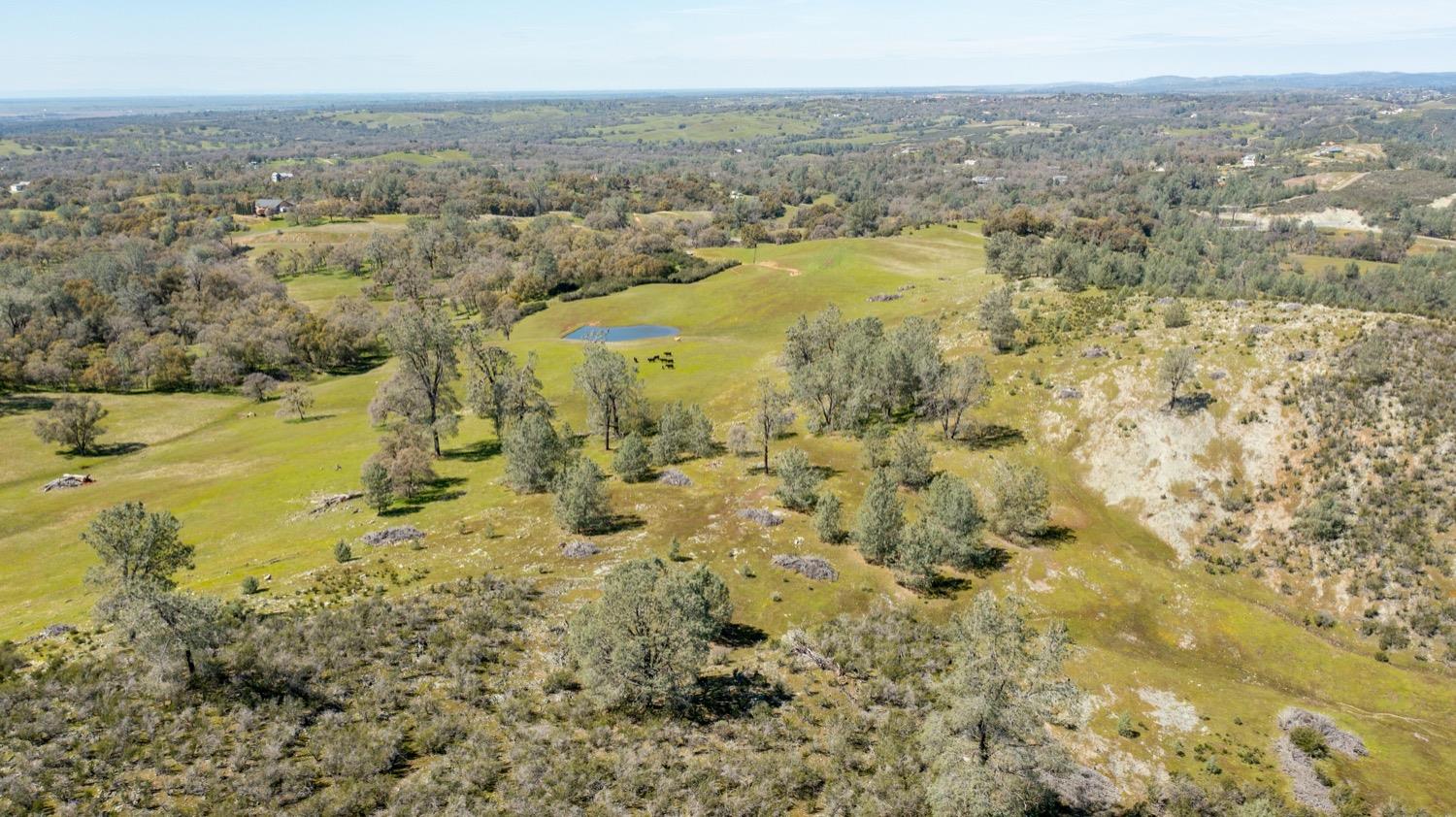 13012 Highway 124 Ione, CA 95640 - Photo 47 of 59