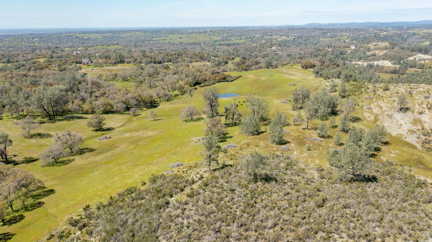 13012 Highway 124 Ione, CA 95640 - Photo 48 of 59