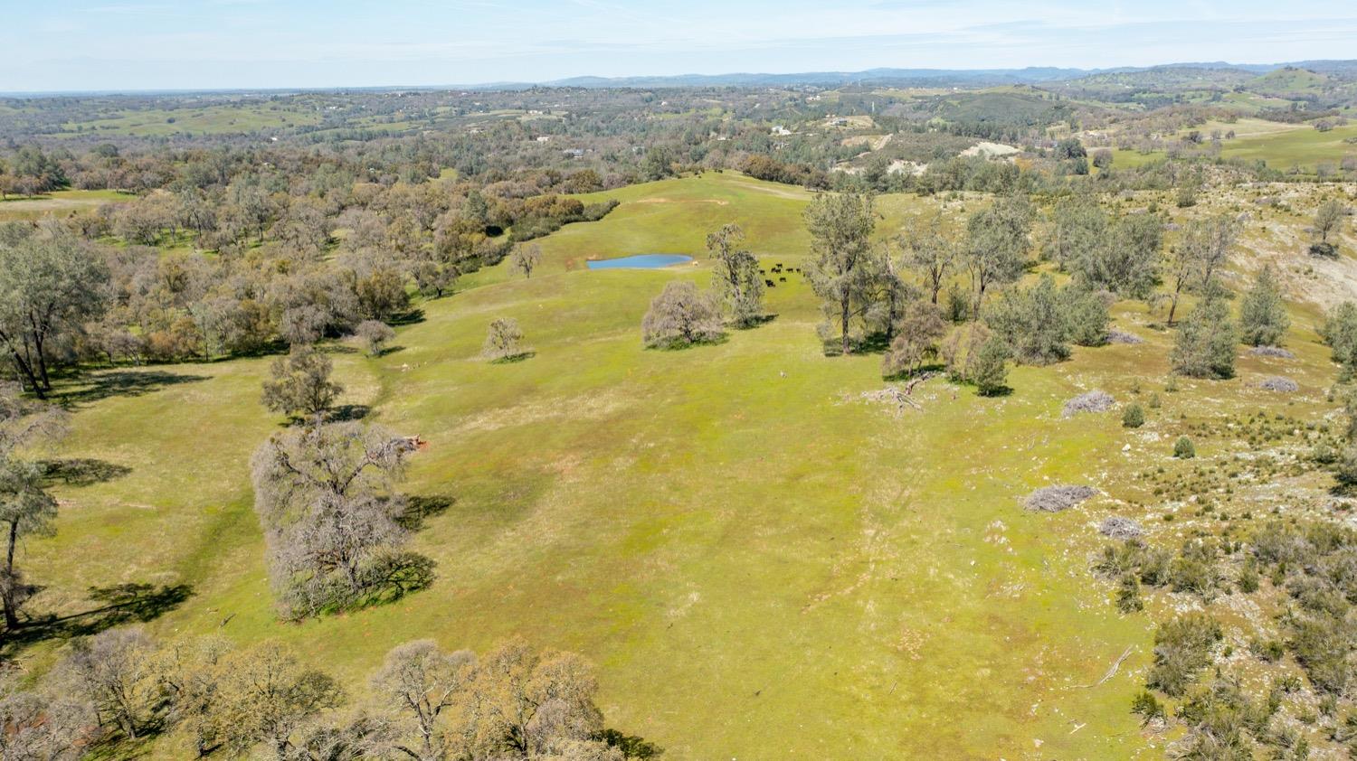 13012 Highway 124 Ione, CA 95640 - Photo 49 of 59 a view of lake