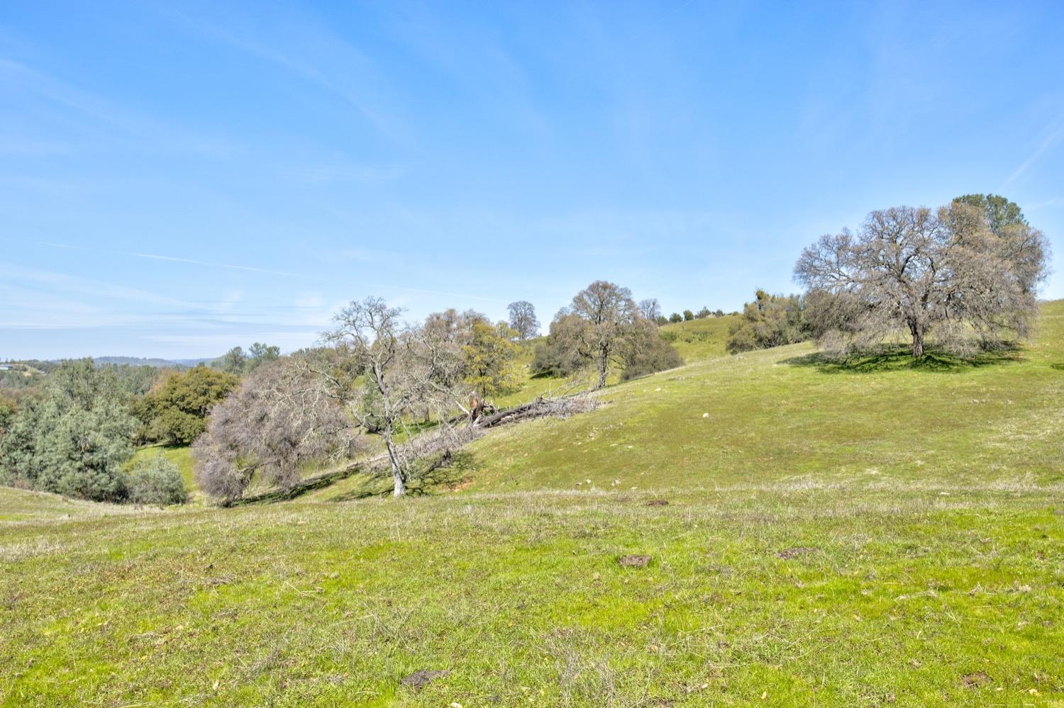 13012 Highway 124 Ione, CA 95640 - Photo 5 of 59
