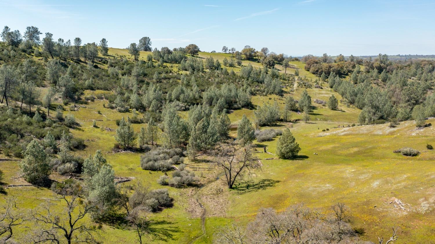 13012 Highway 124 Ione, CA 95640 - Photo 58 of 59