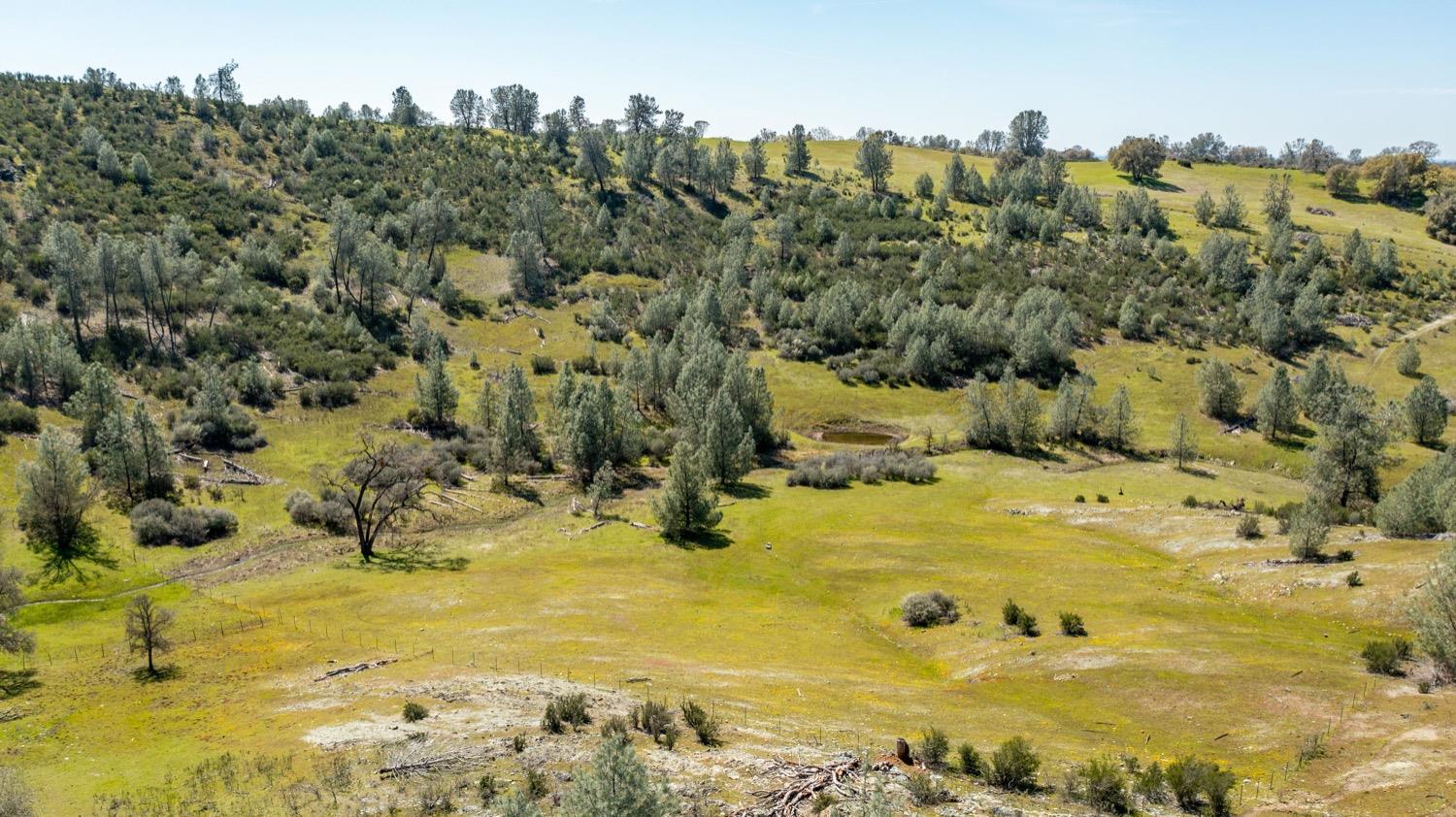 13012 Highway 124 Ione, CA 95640 - Photo 59 of 59