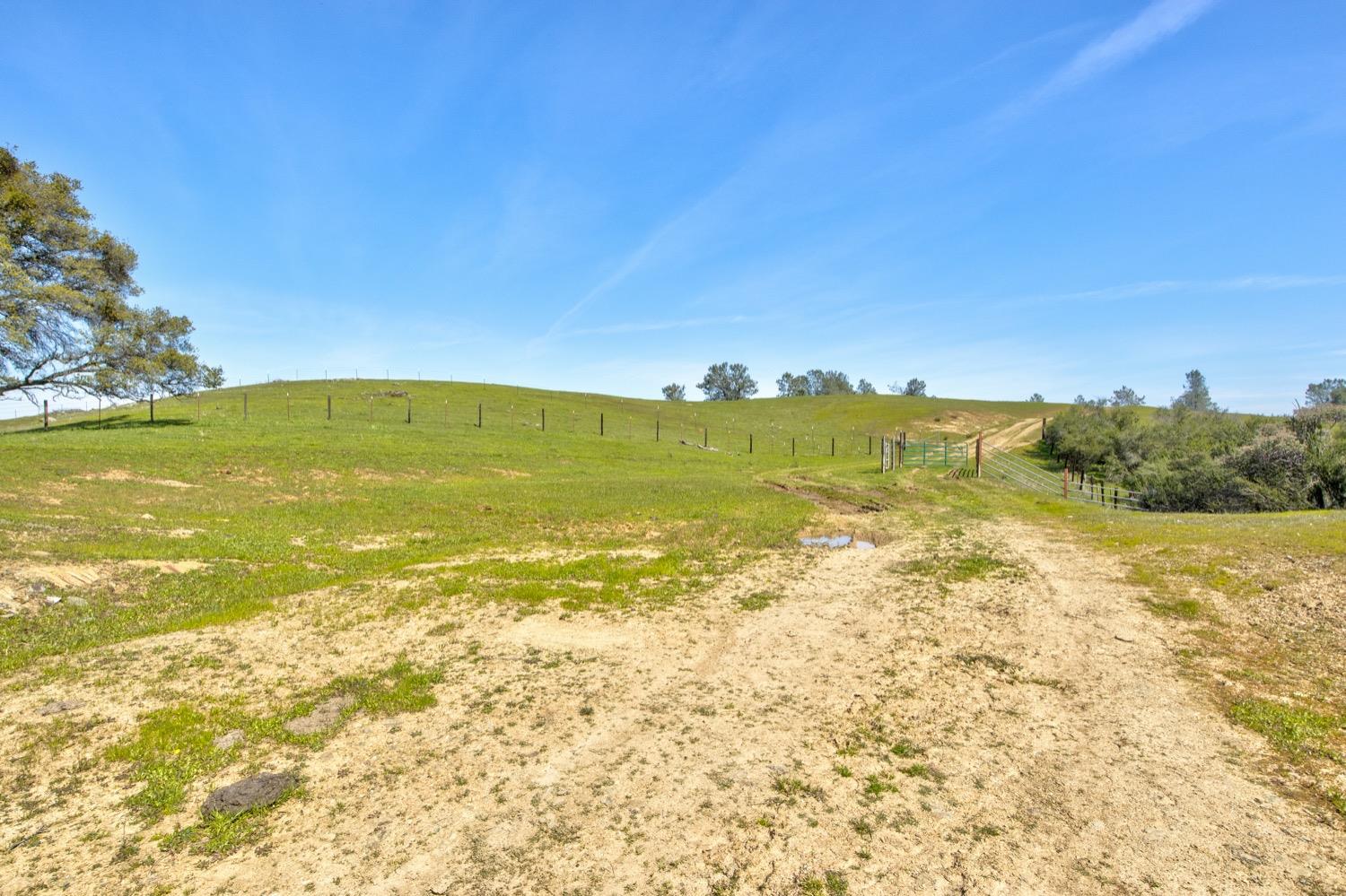 13012 Highway 124 Ione, CA 95640 - Photo 7 of 59 a view of an ocean