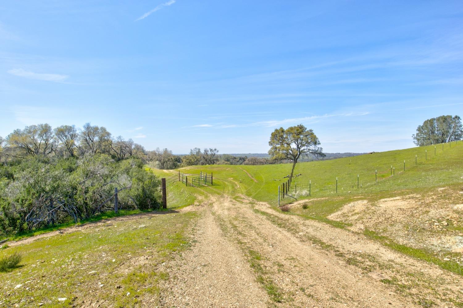 13012 Highway 124 Ione, CA 95640 - Photo 9 of 59 a view of swimming pool with a yard