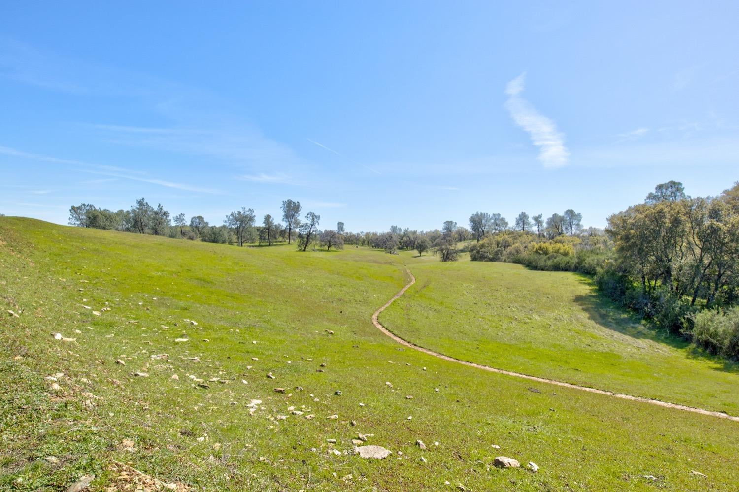 13012 Highway 124 Ione, CA 95640 - Photo 10 of 59 a view of a tennis court