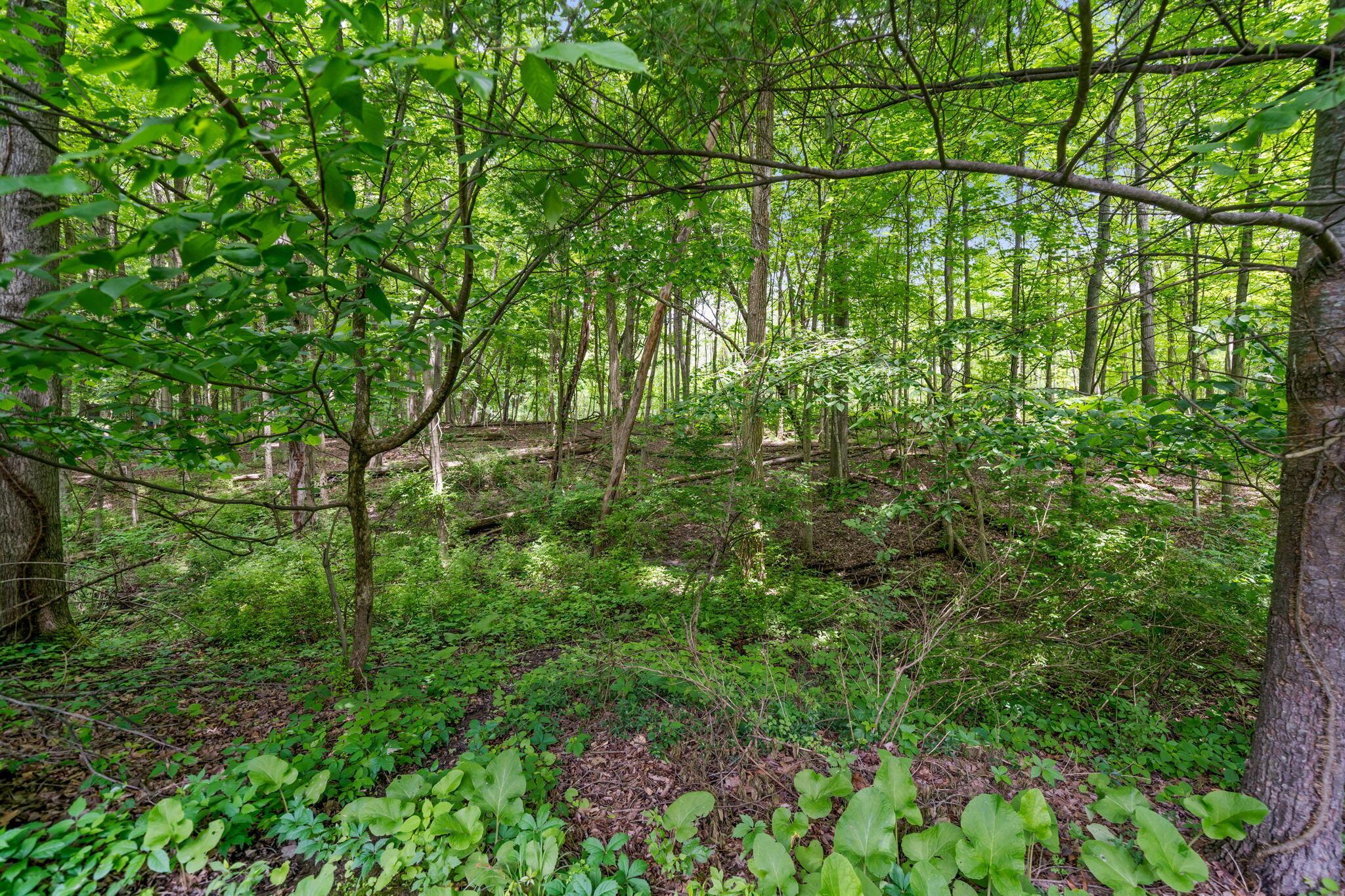 650 West Orange Road Delaware, OH 43015 - Photo 122 of 149 Backyard