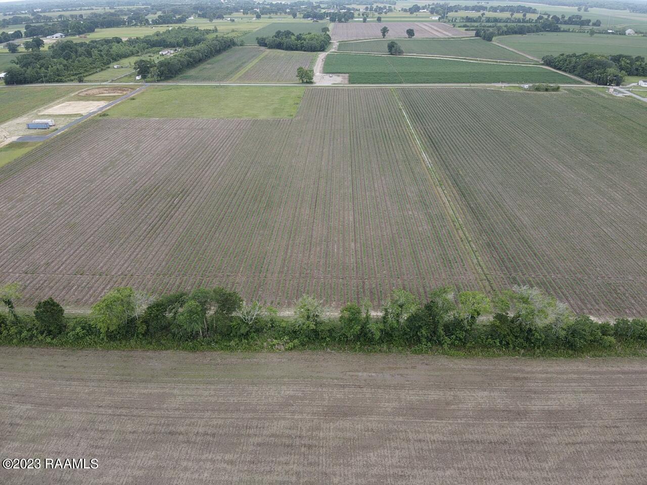 Tba Albert Road Abbeville, LA 70510 - Photo 2 of 7