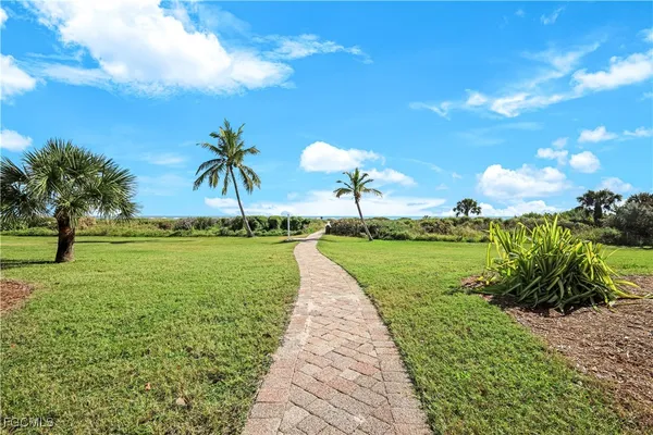 a view of a garden
