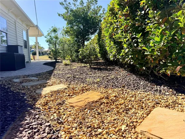 a view of a yard with plants and trees