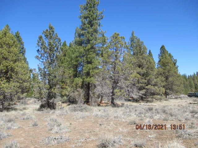1200 Yellow Jacket (off Of) Road Beatty, OR 97621 - Photo 5 of 10 IMG_6957