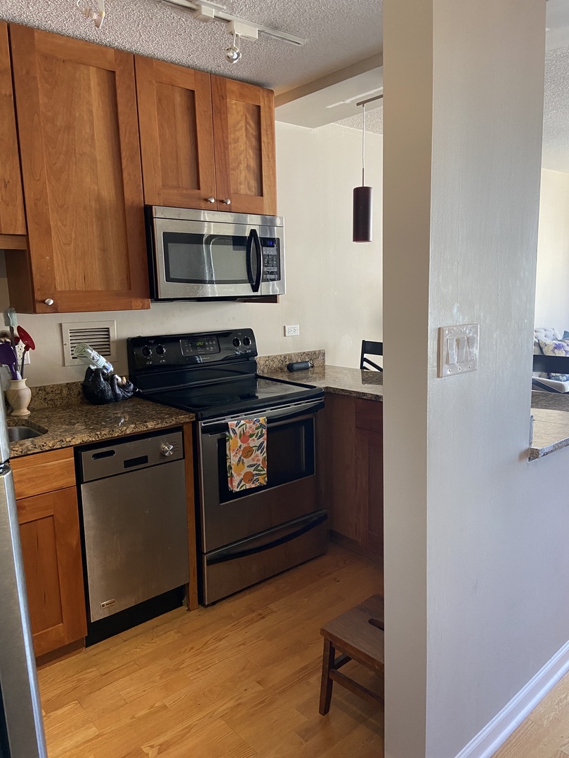 450 West Briar Place, Unit 7L Chicago, IL 60657 - Photo 6 of 17