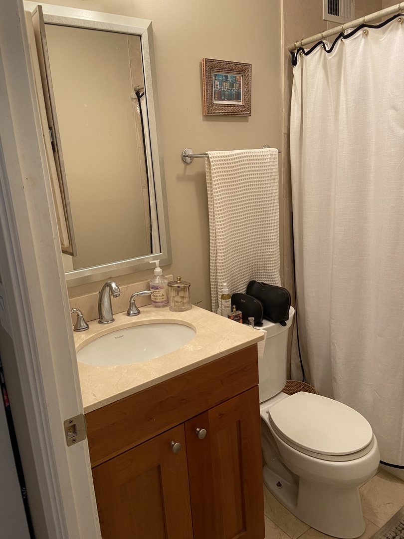 450 West Briar Place, Unit 7L Chicago, IL 60657 - Photo 10 of 17