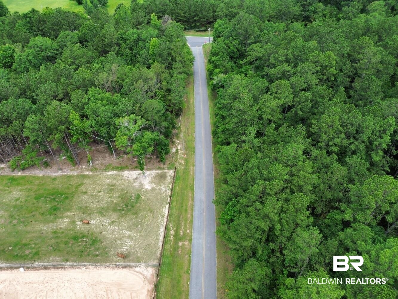 0 Thompson Road Stockton, AL 36579 - Photo 3 of 15