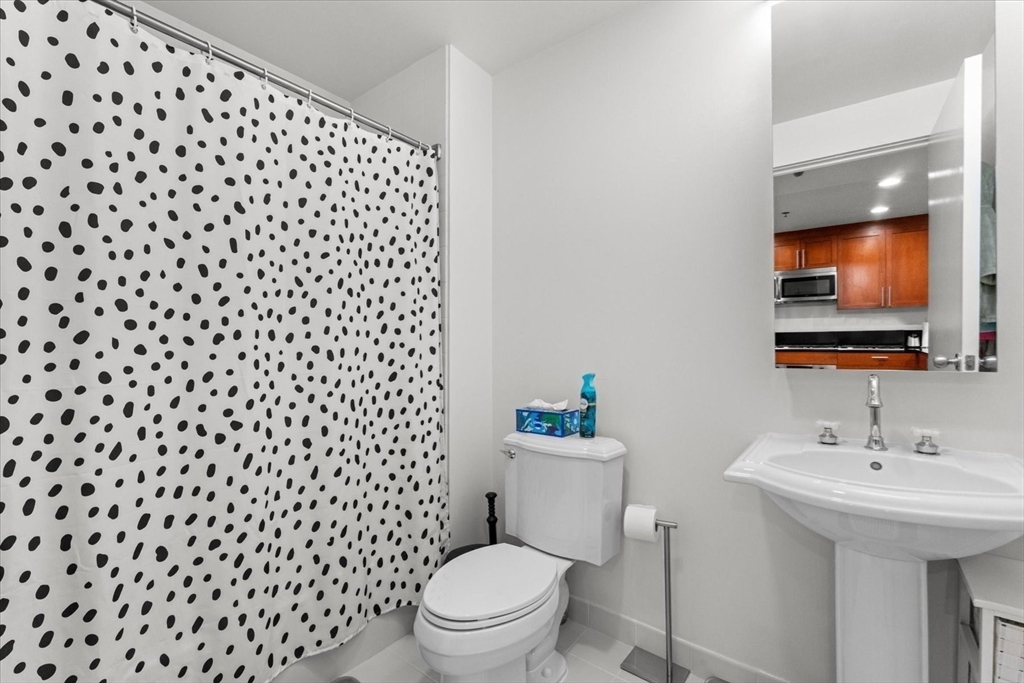 21 Father Francis Gilday Street, Unit 314 Boston, MA 02118 - Photo 15 of 22 Gallery Image 15