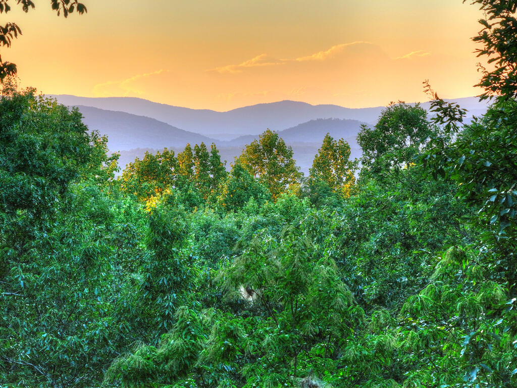 169 Walnut Mountain Road Ellijay, GA 30536 - Photo 4 of 77 Gallery Image 4