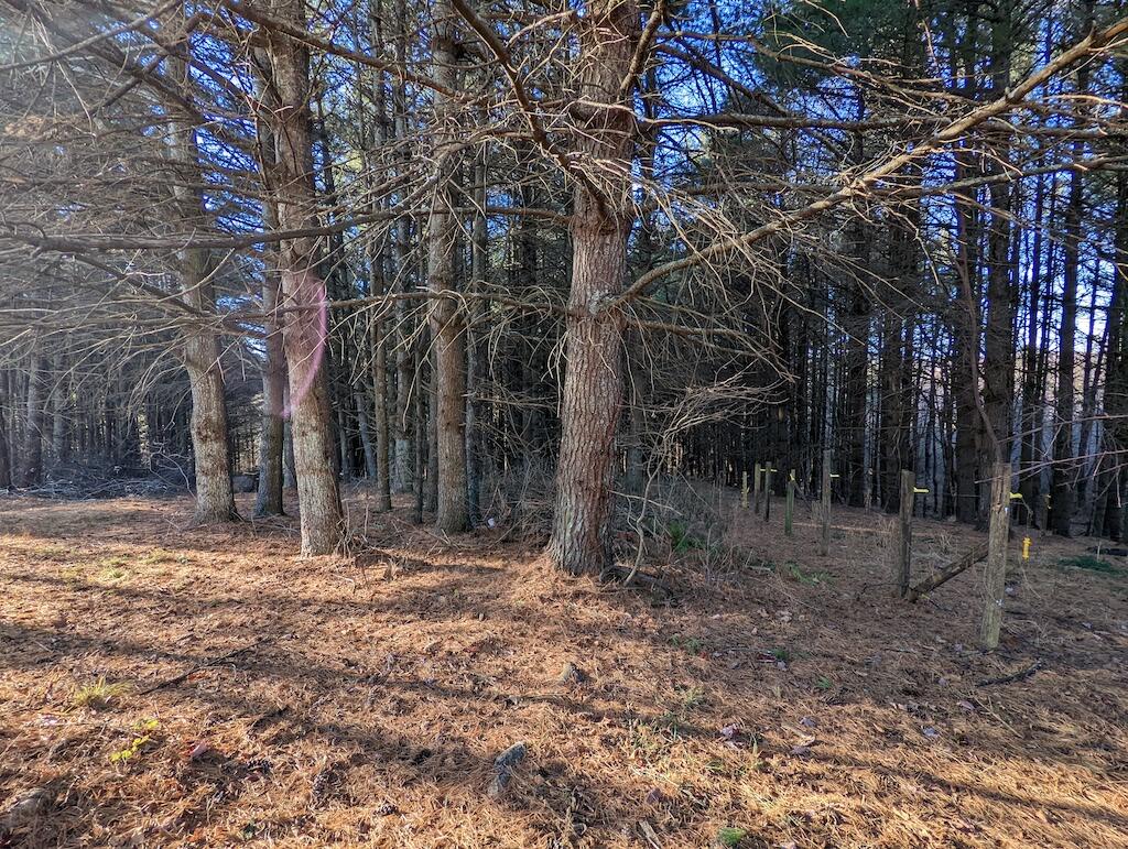 825 Macks Mountain Road Northwest Indian Valley, VA 24105 - Photo 25 of 30 a backyard of a house with lots of green space