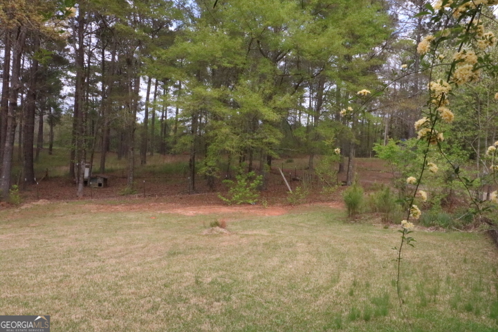 775 Rock Mills Road LaGrange, GA 30240 - Photo 17 of 20