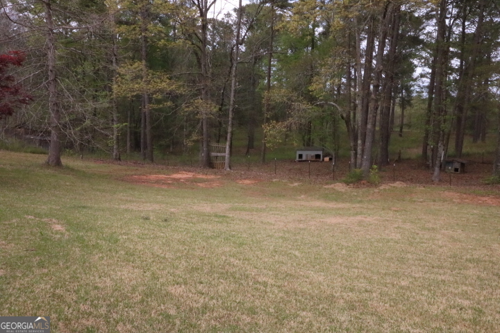775 Rock Mills Road LaGrange, GA 30240 - Photo 18 of 20