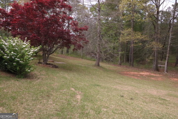 775 Rock Mills Road LaGrange, GA 30240 - Photo 19 of 20