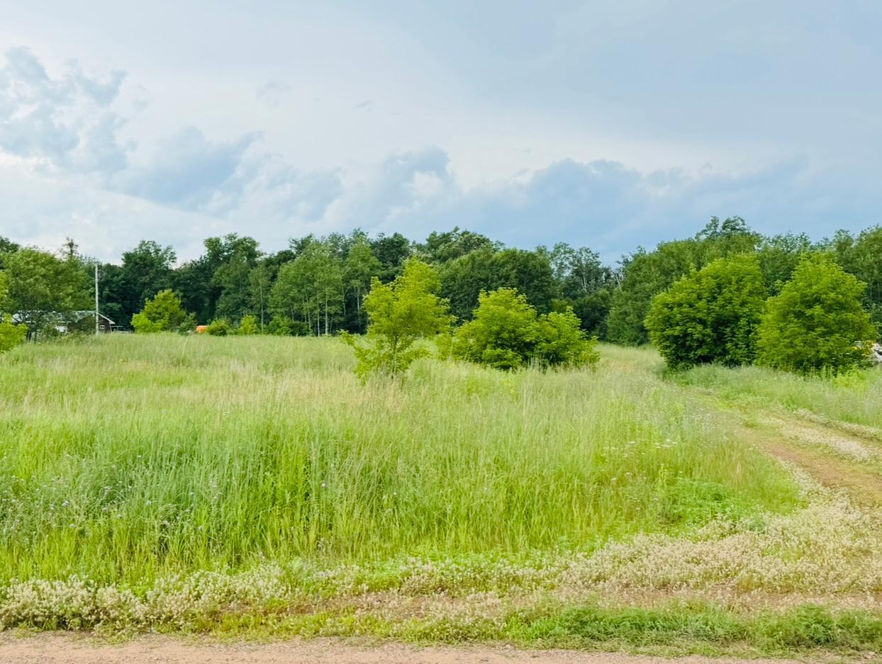Tbd Whitetail Street Crosby, MN 56441 - Photo 2 of 5
