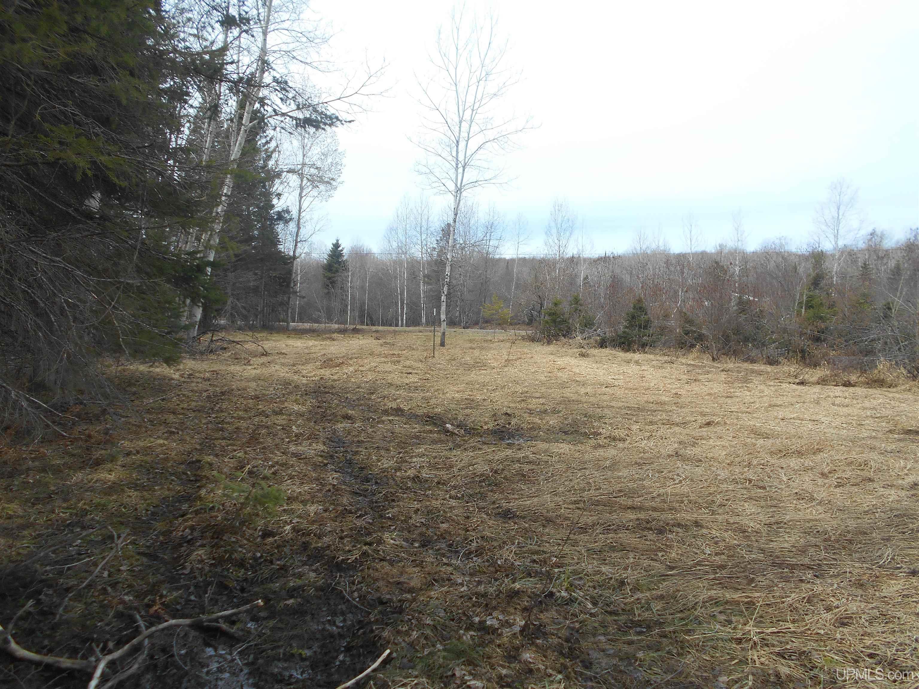 0 Lower Worham Road Chassell, MI 49916 - Photo 4 of 10