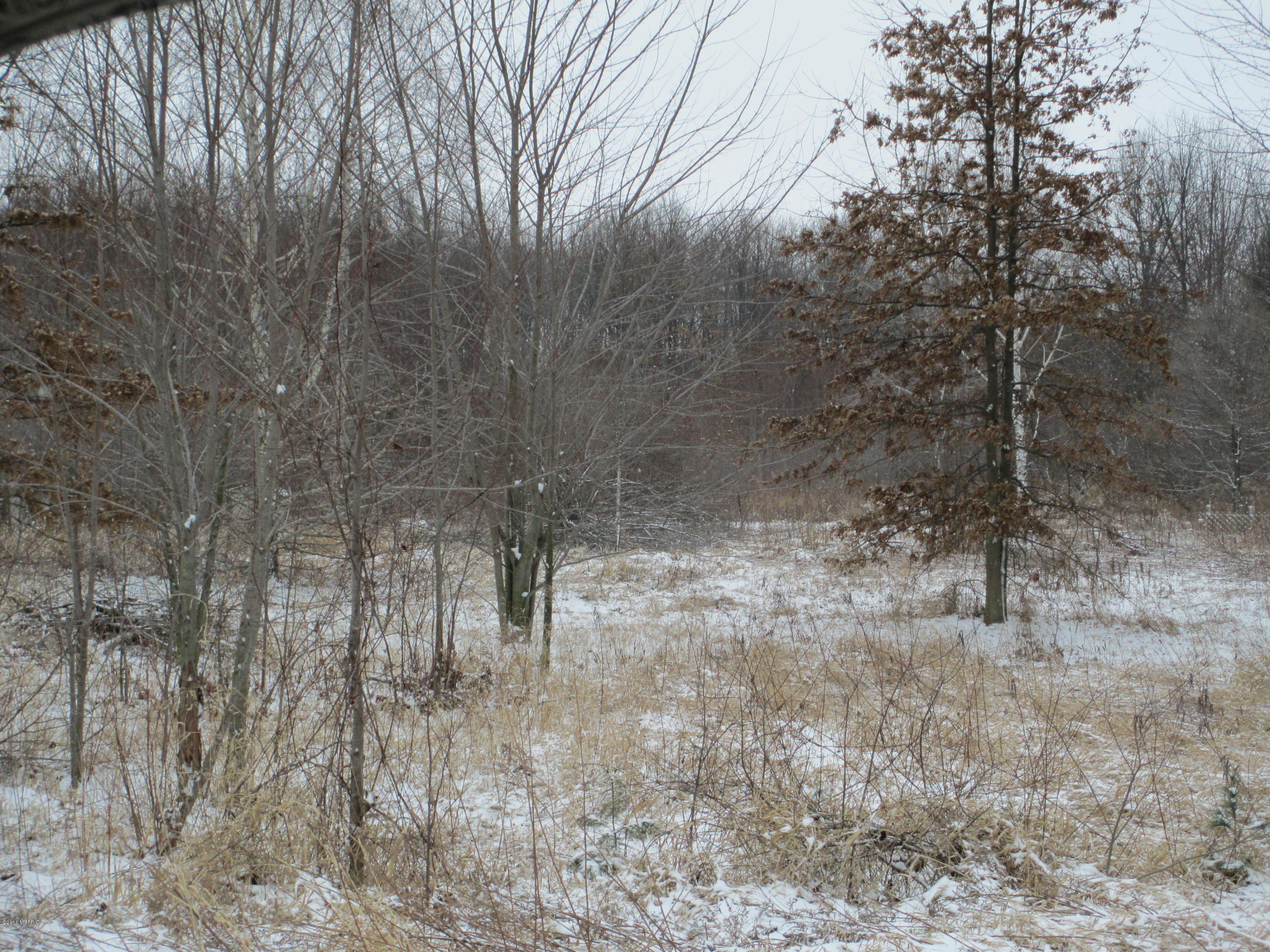 32108 Custer Road Colon, MI 49040 - Photo 1 of 8 IMG_3812