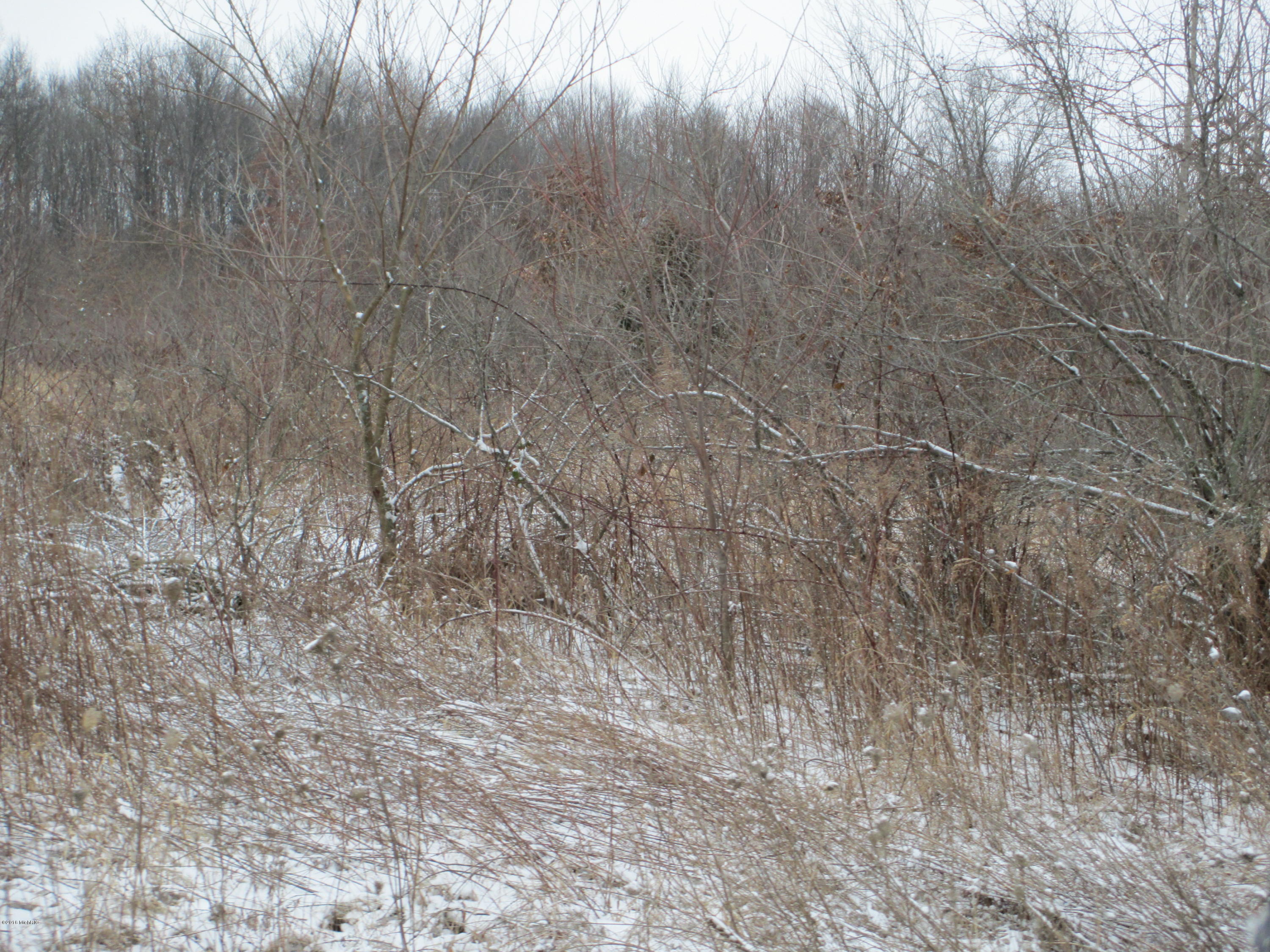 32108 Custer Road Colon, MI 49040 - Photo 6 of 8 IMG_3818