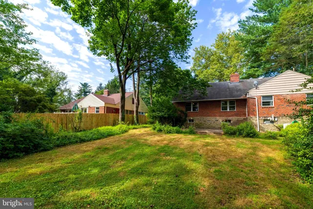 a view of a trees with a yard