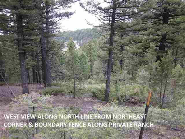 457 A Cloudhouse Road Three Forks, MT 59752 - Photo 1 of 1 Gallery Image 1