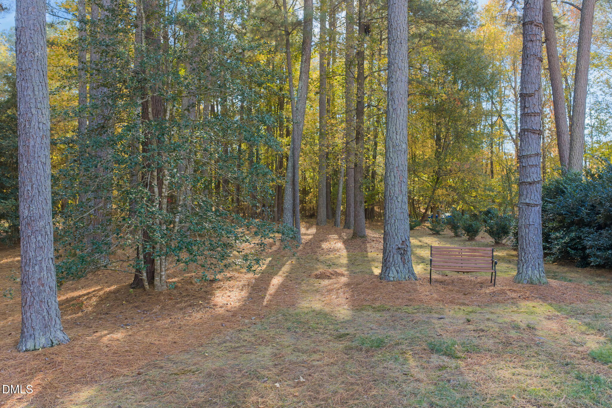 2605 Lizei Street Raleigh, NC 27616 - Photo 42 of 46 Backyard