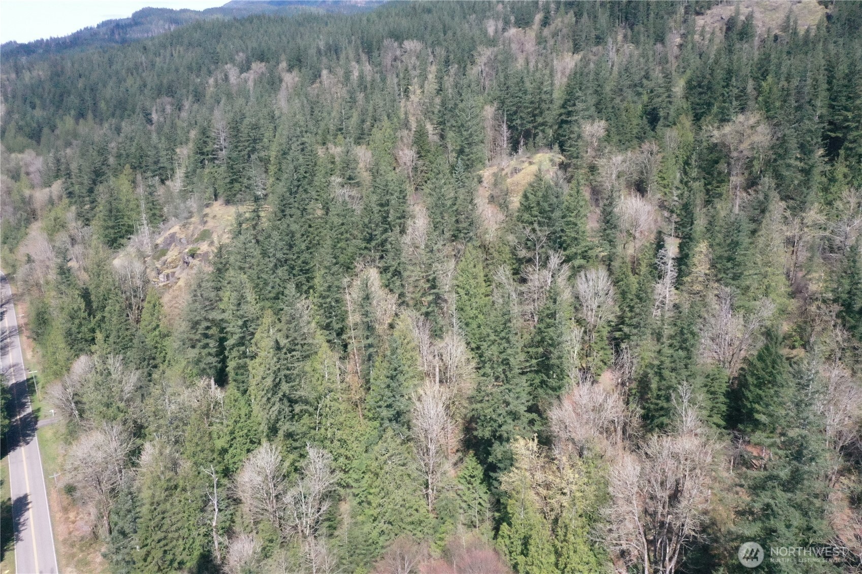 15327 May Creek Road Gold Bar, WA 98251 - Photo 2 of 35 a view of a forest with lots of trees