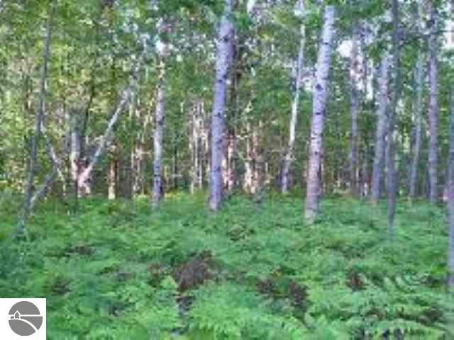 7239 Lautner Road Williamsburg, MI 49690 - Photo 1 of 1 1657217.JPG