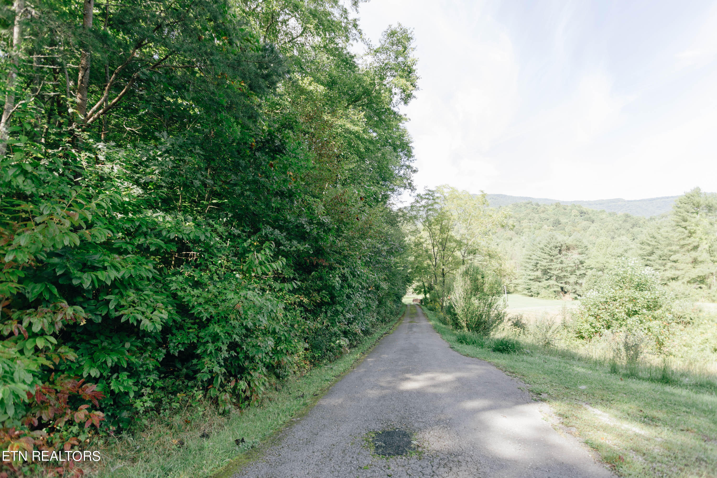 72 Everett Money Road Middlesboro, KY 40965 - Photo 34 of 43 5R9A8485
