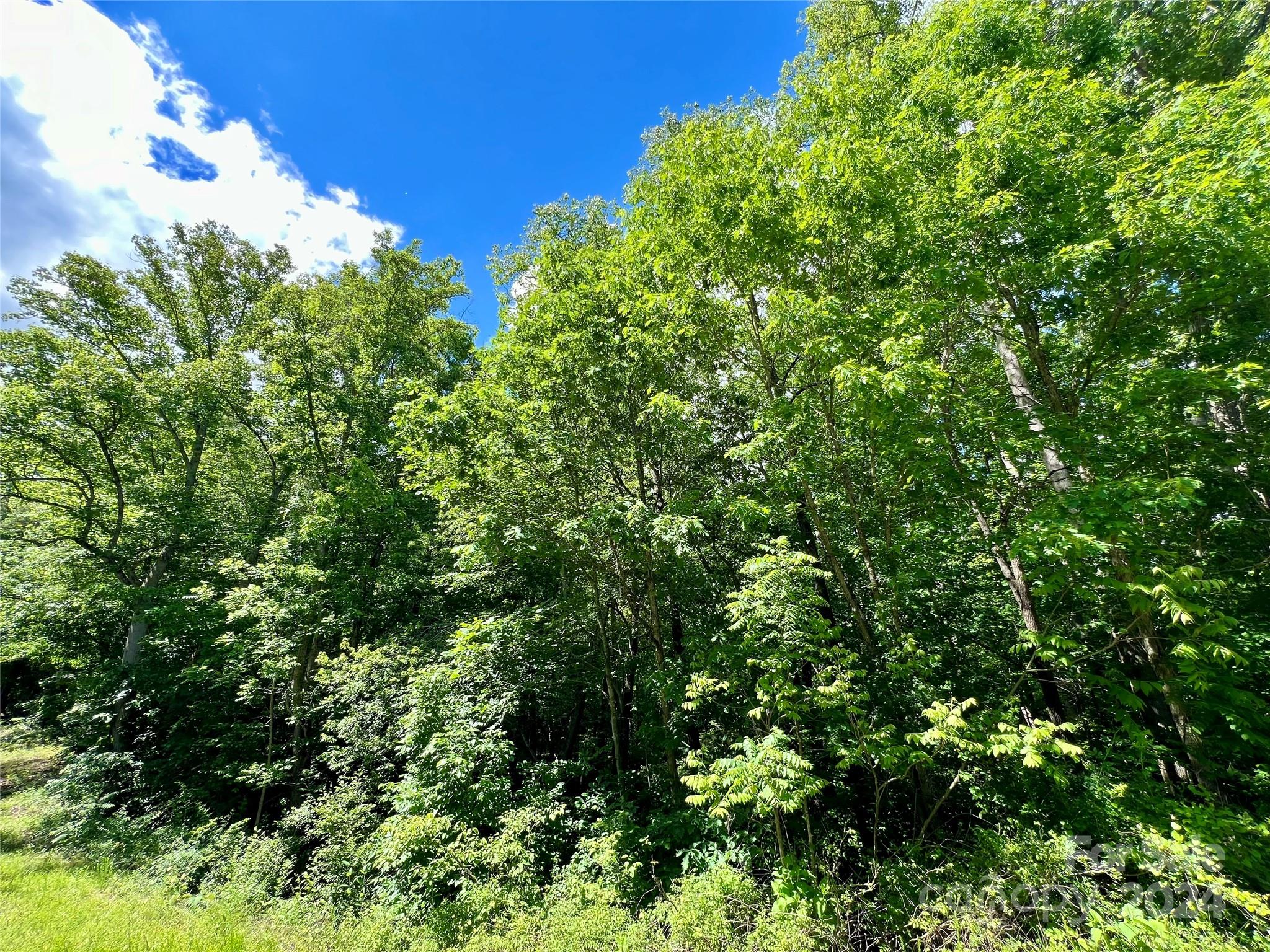 0 Rupard Road, Unit 3 Statesville, NC 28625 - Photo 5 of 5 a view of a bunch of trees