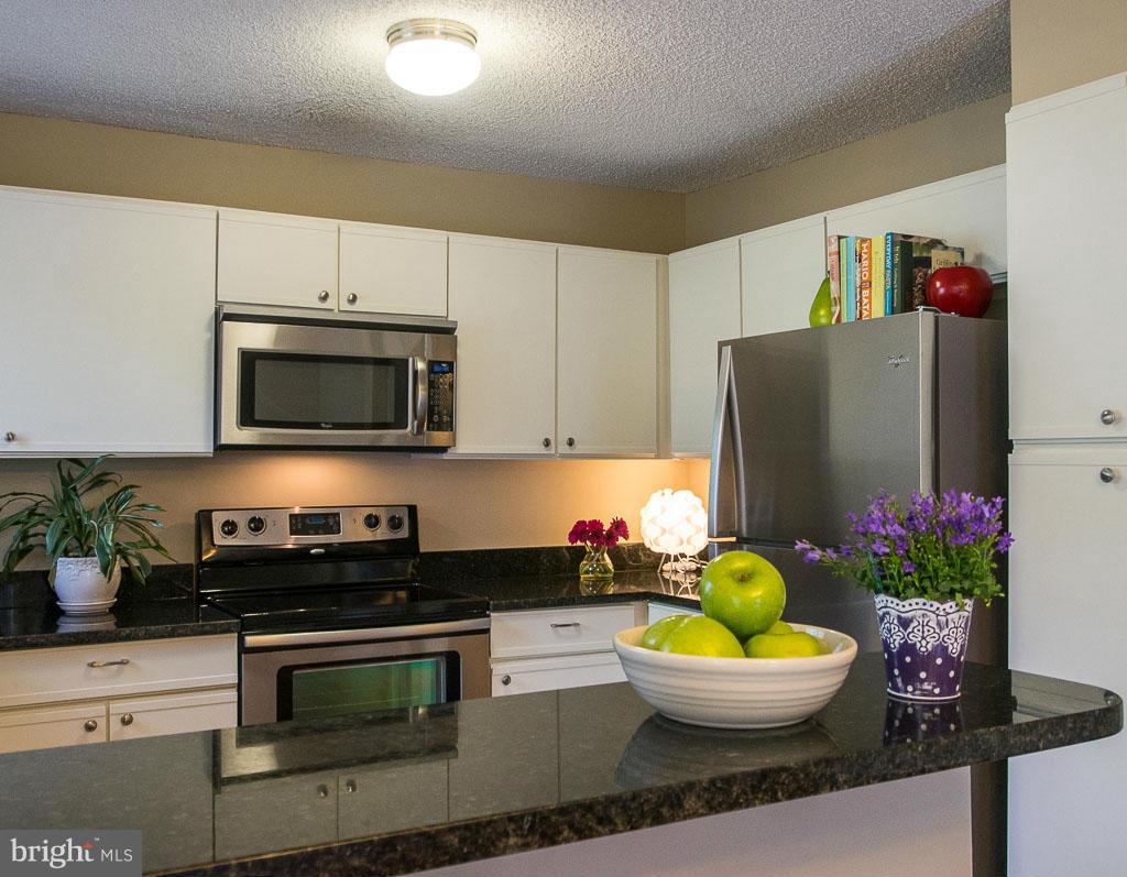 11708 Summerchase Circle, Unit 1708A Reston, VA 20194 - Photo 5 of 27 Kitchen