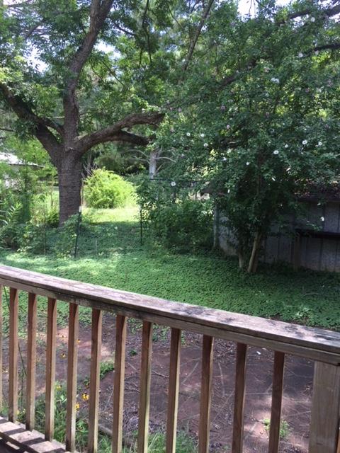 4129 Sulphur Springs Road Murfreesboro, TN 37129 - Photo 9 of 11 a view of a wooden deck and a forest