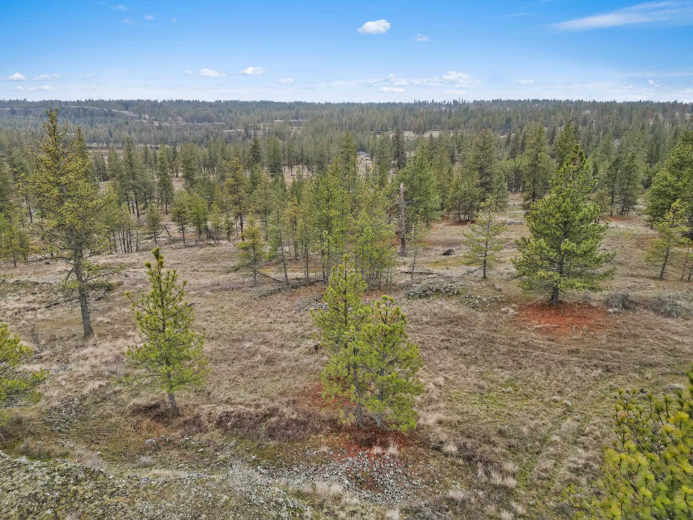 Nka West Cheney Plaza Road, Unit LOT B Cheney, WA 99004 - Photo 12 of 17