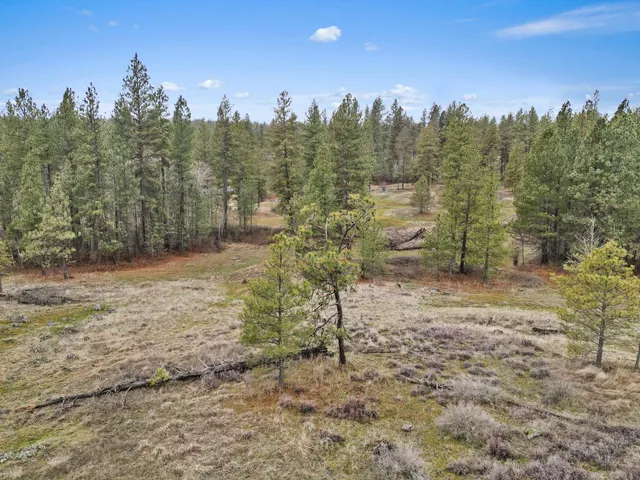 $180,000 | Nka West Cheney Plaza Road, Unit LOT B, Cheney, WA 99004