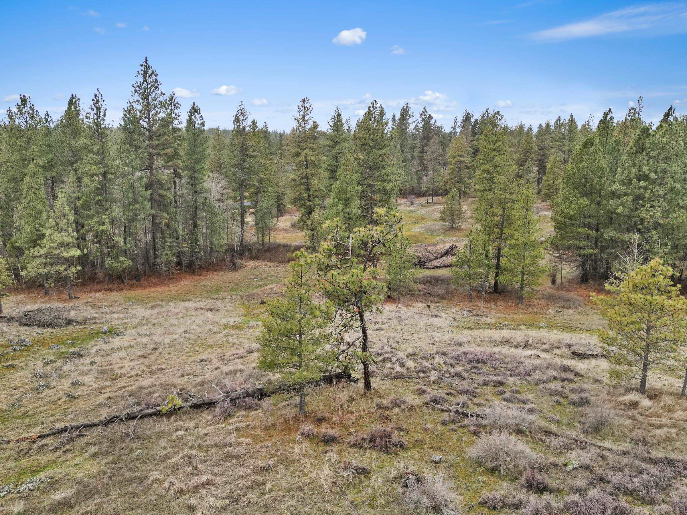 Nka West Cheney Plaza Road, Unit LOT B Cheney, WA 99004 - Photo 14 of 17