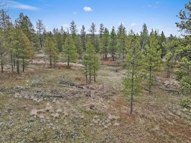 $180,000 | Nka West Cheney Plaza Road, Unit LOT B, Cheney, WA 99004