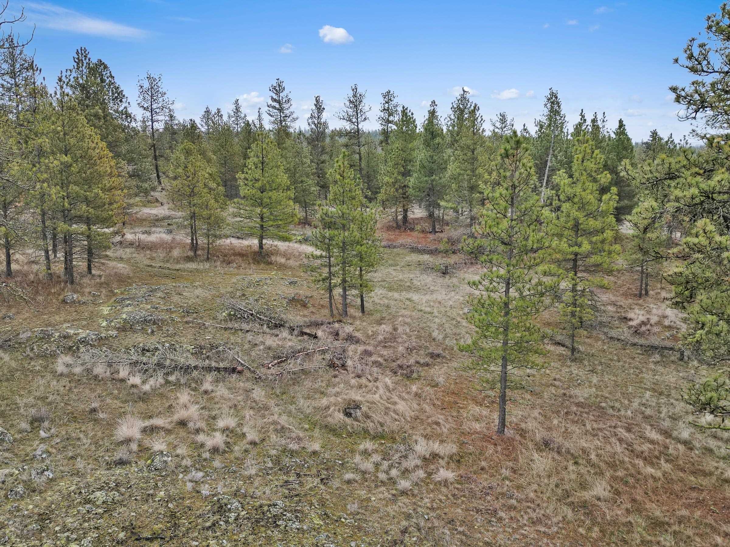 Nka West Cheney Plaza Road, Unit LOT B Cheney, WA 99004 - Photo 15 of 17