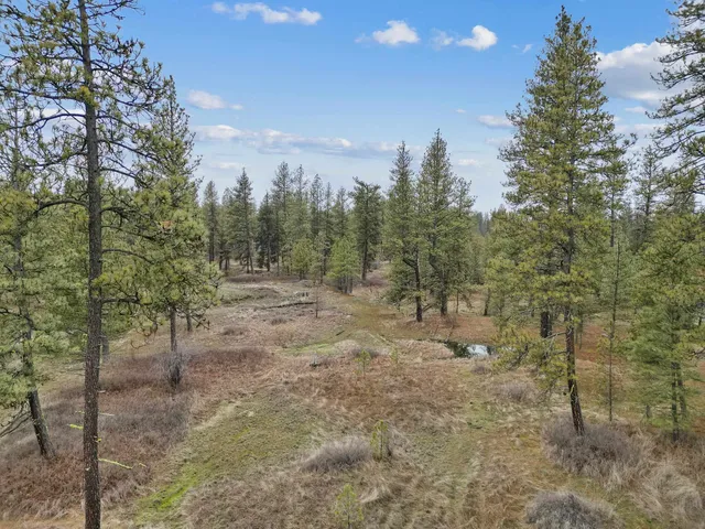 $180,000 | Nka West Cheney Plaza Road, Unit LOT B, Cheney, WA 99004