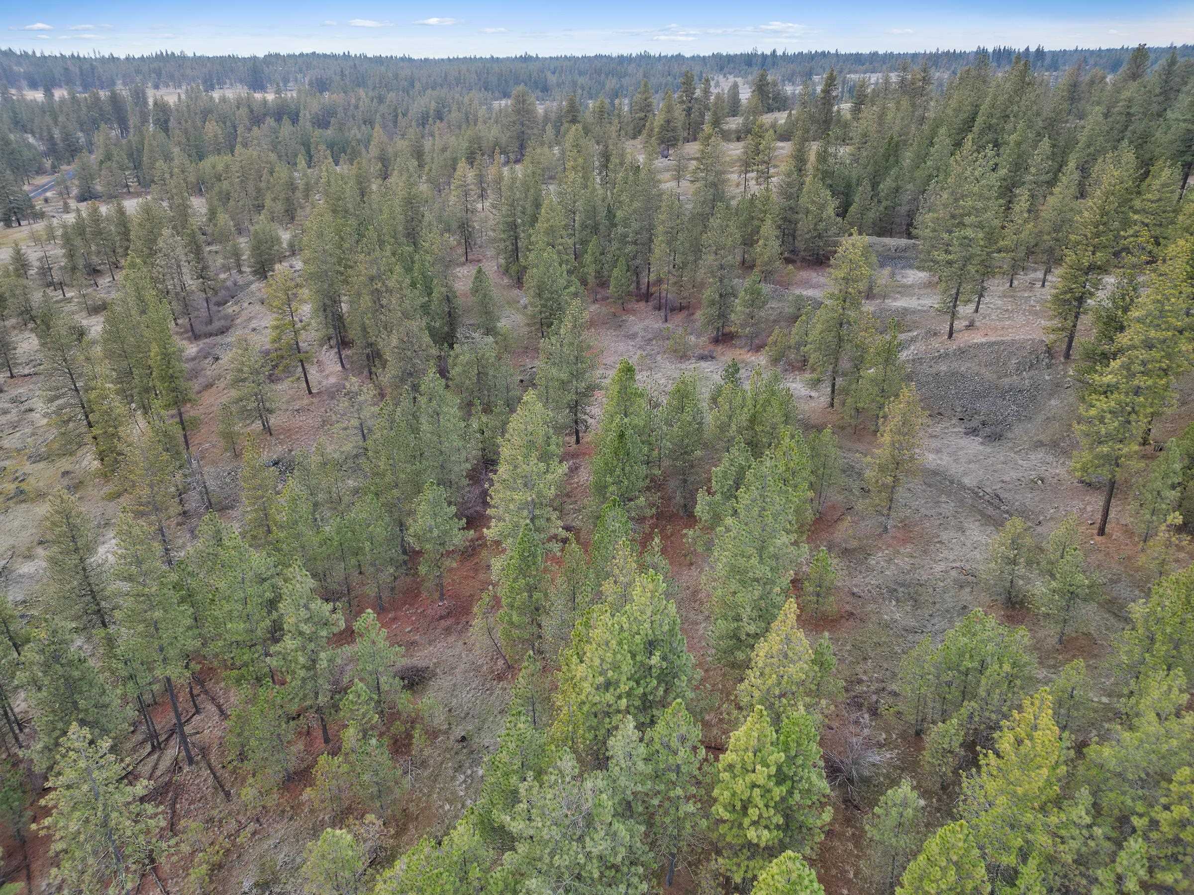 Nka West Cheney Plaza Road, Unit LOT B Cheney, WA 99004 - Photo 7 of 11