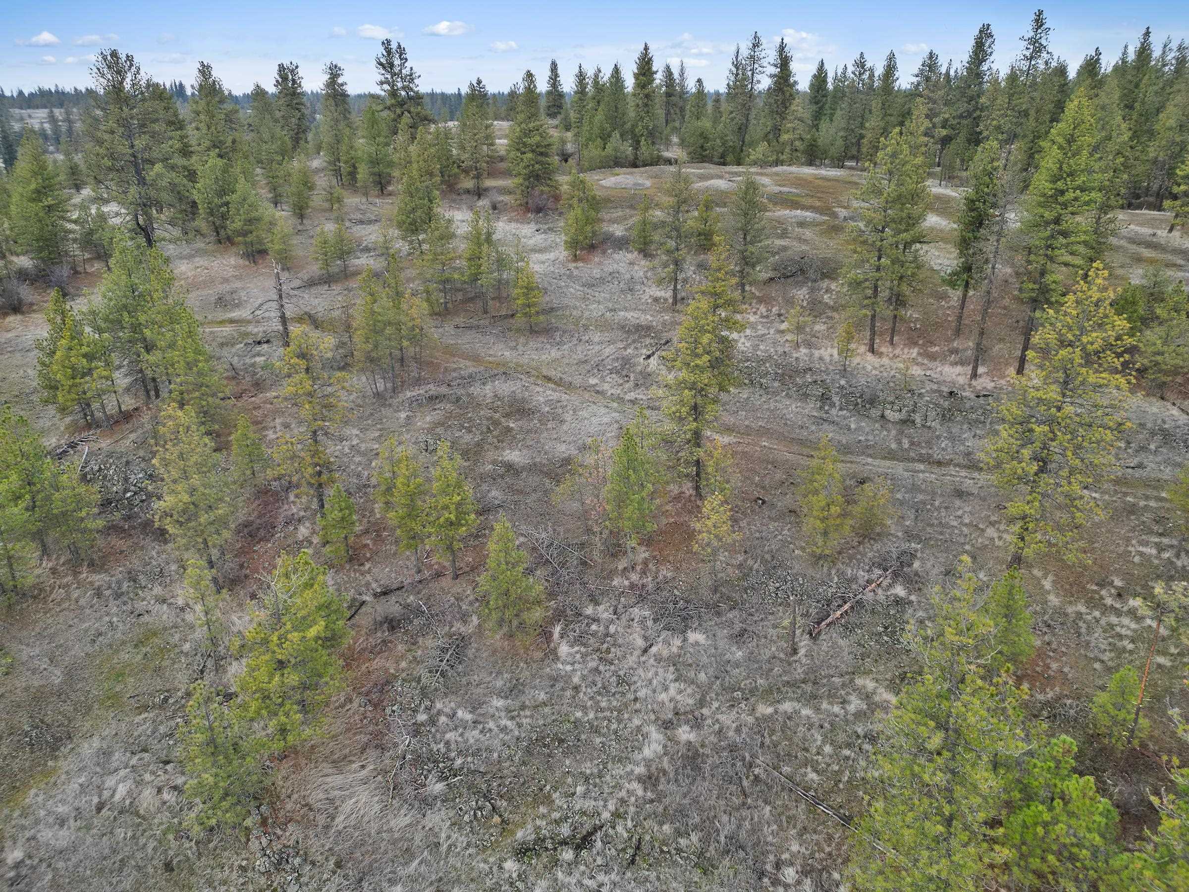 Nka West Cheney Plaza Road, Unit LOT B Cheney, WA 99004 - Photo 10 of 11